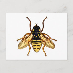 Vintage Yellow Bee Postcard