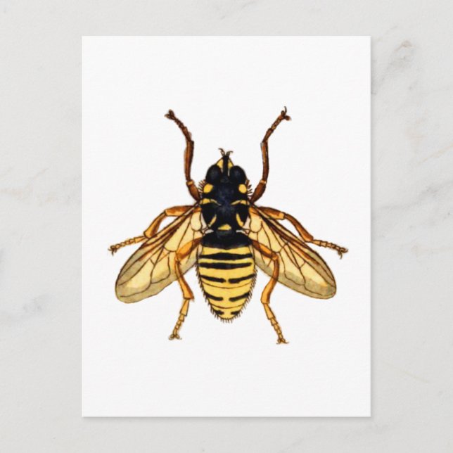 Vintage Yellow Bee Postcard (Front)