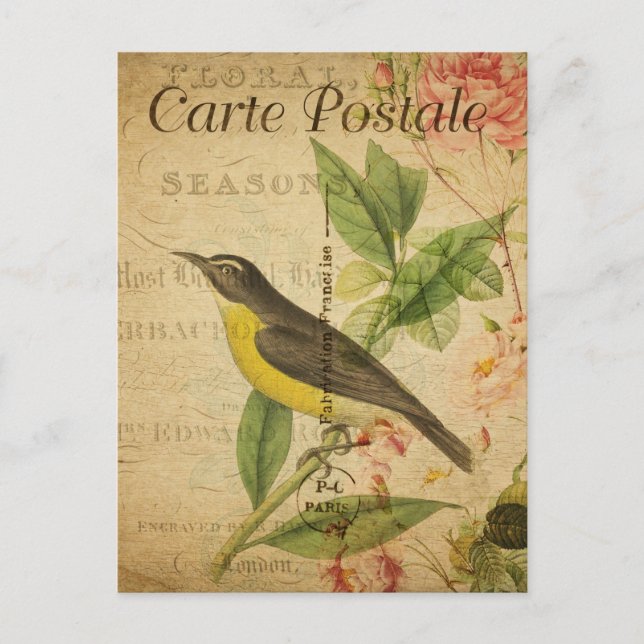 Vintage Yellow Bird Floral Flowers French Postcard (Front)