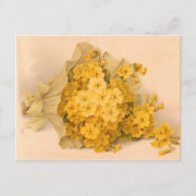 Vintage Yellow Flowers Vintage Postcard