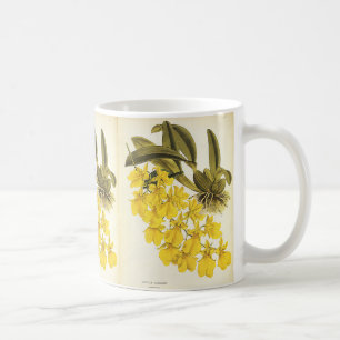 Vintage Yellow Oncidium Orchid, Tropical Flowers Coffee Mug