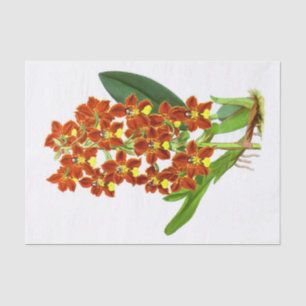 Vintage Yellow Orange Orchid Flower Decoupage Tissue Paper