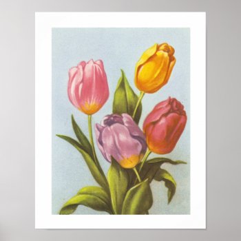 Vintage Yellow  Pink  And Purple Tulips Poster by VintageFloralPrints at Zazzle