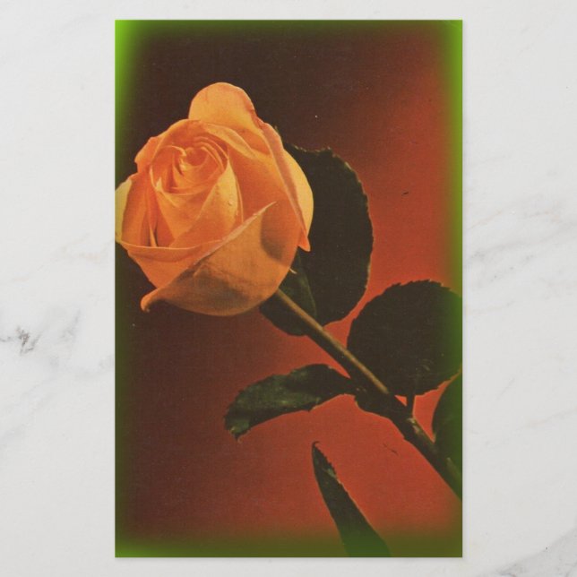 Vintage Yellow Rose Stationery (Front)