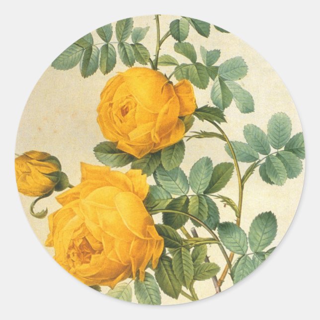 Vintage Yellow Rose Sticker (Front)