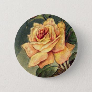 Vintage Yellow Roses Button by vintageamerican at Zazzle