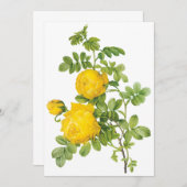 Vintage Yellow Roses by Redoute Invitation (Front/Back)