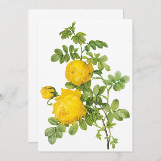 Vintage Yellow Roses by Redoute Invitation (Front/Back)