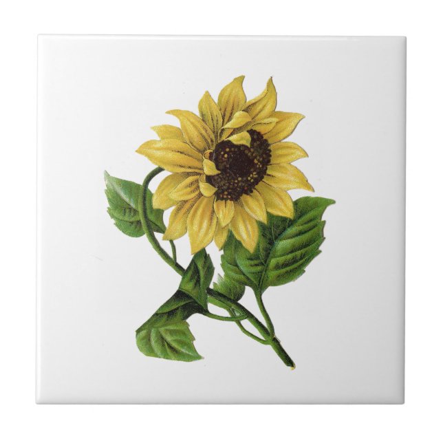 Vintage Yellow Sunflower Ceramic Tile (Front)