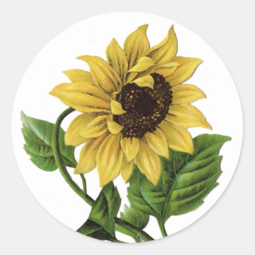 Vintage Yellow Sunflower Graphic Flower Sticker