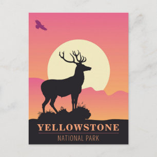 Vintage Yellowstone National Park Sunset Postcard