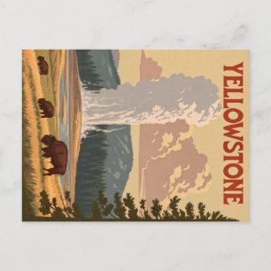 Vintage Yellowstone: Old Faithful Eruption Postcard