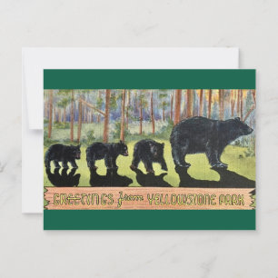 Vintage Yellowstone Park Bears Postcard