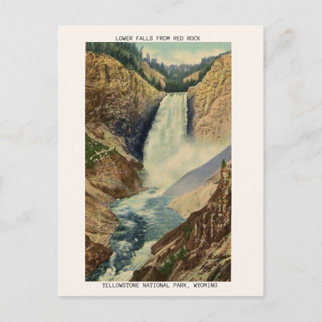 Vintage Yellowstone Postcard, Lower Falls  Postcard (Front)