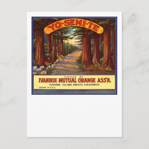 Vintage Yo_Semi_Te Orange Label Postcard
