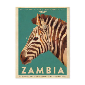 Vintage Zambia Zebra Travel Postcard