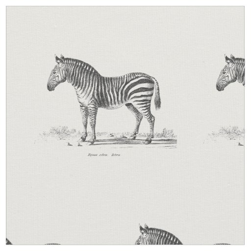 Vintage Zebra Fabric