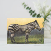 Vintage Zebra in the African Savannah, Wild Animal (Standing Front)
