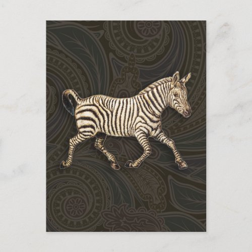Vintage zebra running with paisley design postcard