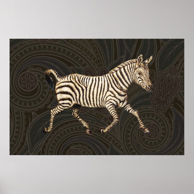 Vintage zebra running with paisley design poster (Front)