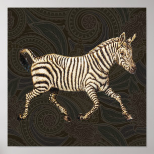 Vintage zebra running with paisley design poster