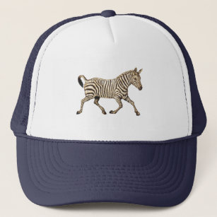 Vintage zebra running with paisley design trucker hat