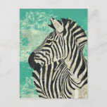 Vintage Zebra Turquoise Postcard at Zazzle