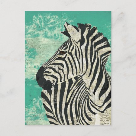 Vintage Zebra Turquoise Postcard