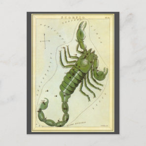 Vintage Zodiac, Astrology Scorpio Constellation Postcard