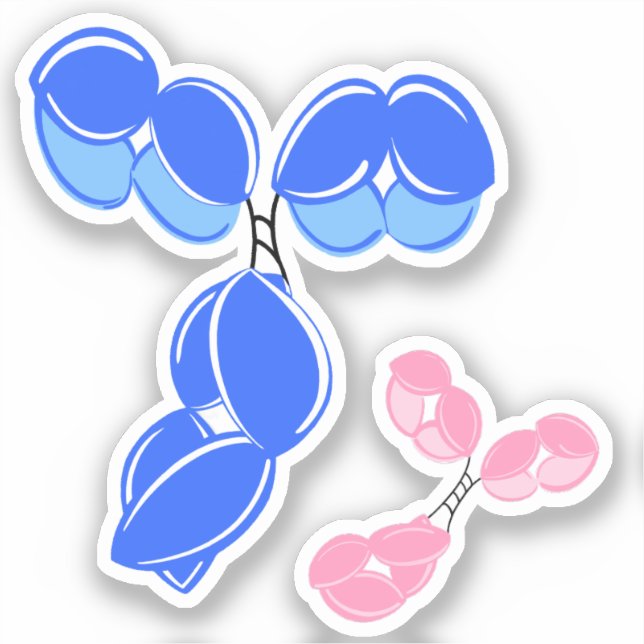 Vinyl sticker - blue IgG (antibody) w/ bonus (Front)