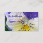 Viola Business Card