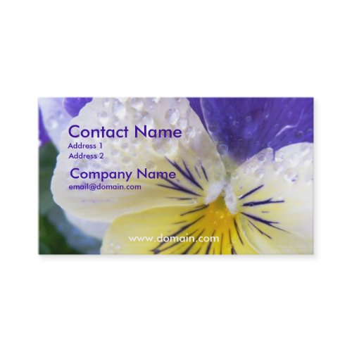 Viola Business Card