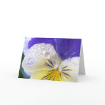 Viola Flowers Greeting Card
