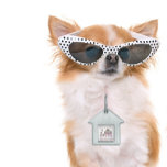 Viola Princess Crown  Pet ID Tag<br><div class="desc">This pet id tag is of viola princess crown original design by deluxephotos.</div>