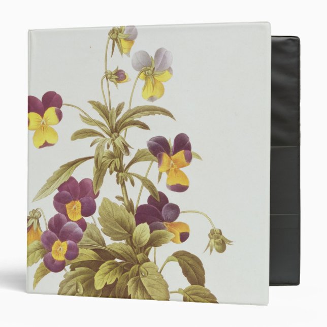 Viola Tricolour 3 Ring Binder (Front/Inside)