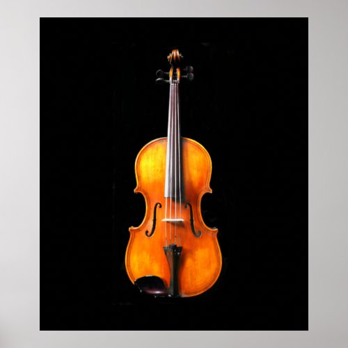 Viola  Violin Poster Print