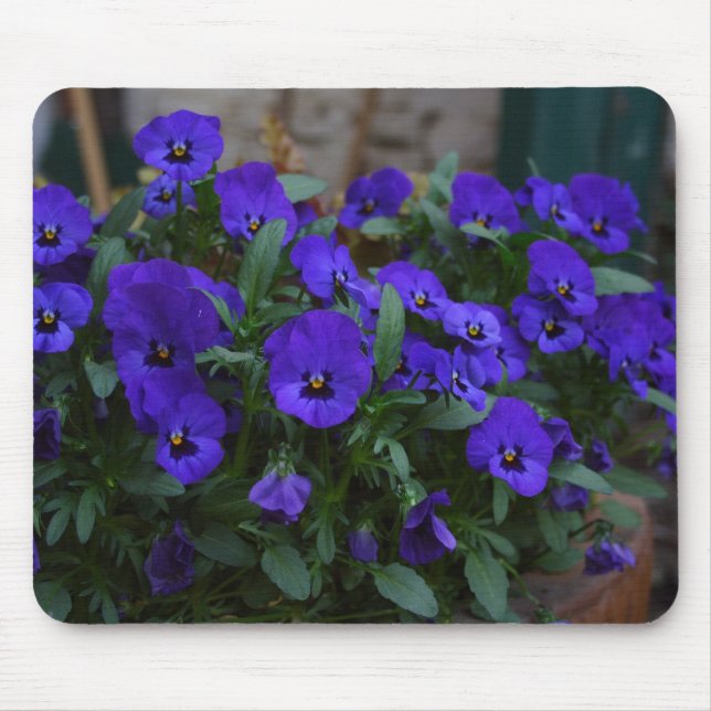 Viola wittrockiana mouse pad (Front)