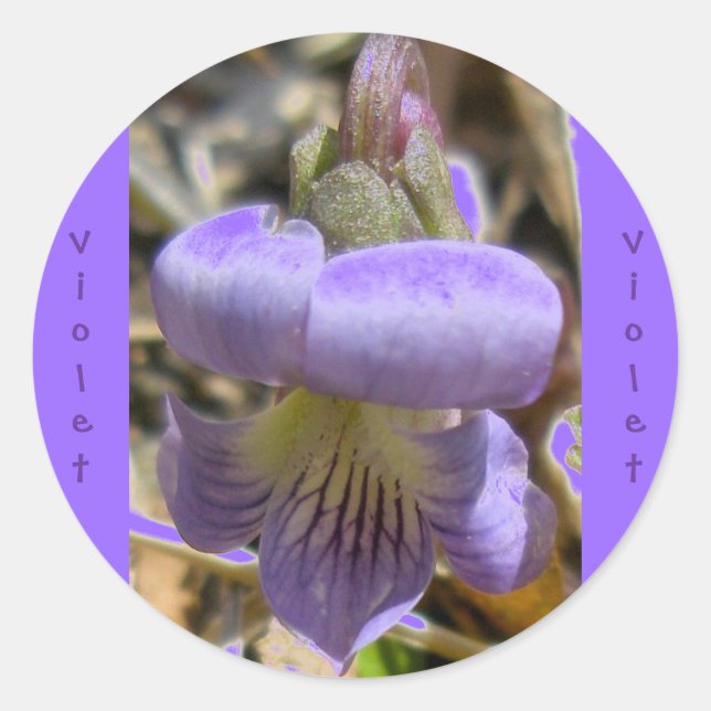 Violet #1 Stickers (Front)