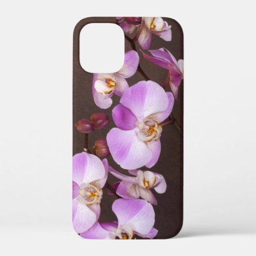 Violet and White Orchid Close_Up Photograph iPhone 12 Mini Case