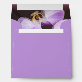 Violet and White Orchid Close Up Photograph Envelope