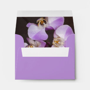 Violet and White Orchid Close Up Photograph Envelope