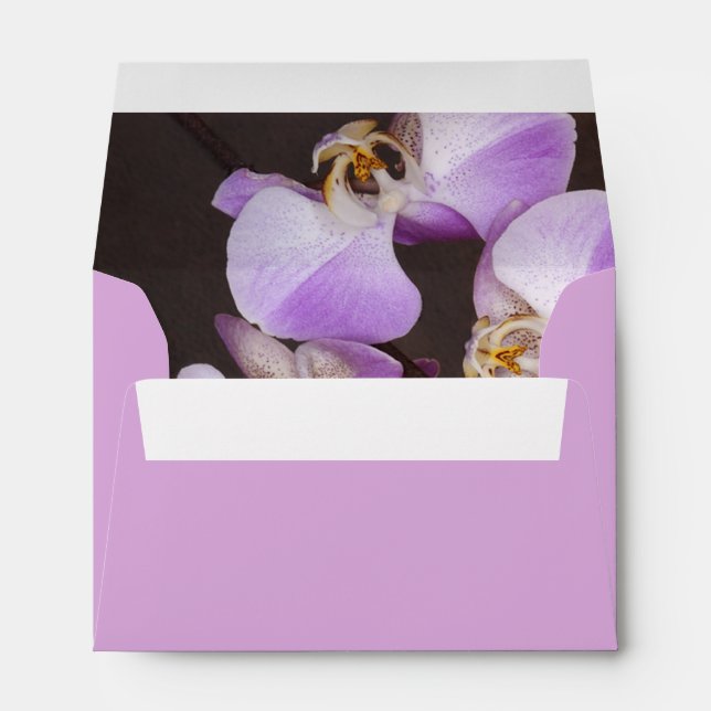 Violet and White Orchid Close Up Photograph Envelope (Back (Bottom))