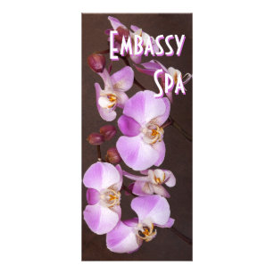Violet and White Orchid Close Up Photograph Rack Card
