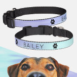 Violet Aqua Blue Pastel gradient Ombre Custom name Pet Collar<br><div class="desc">Lovely pet collar with simple design in violet and light aqua blue ombre/gradient colors, and two black paw prints. Cute, modern and elegant gift for your dog or cat :) • Personalize it with pet's name, delete text or customize further - edit font, move/resize/delete elements, add text and more! •...</div>