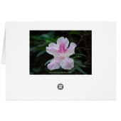 Violet Azaleas Card (Back Horizontal)