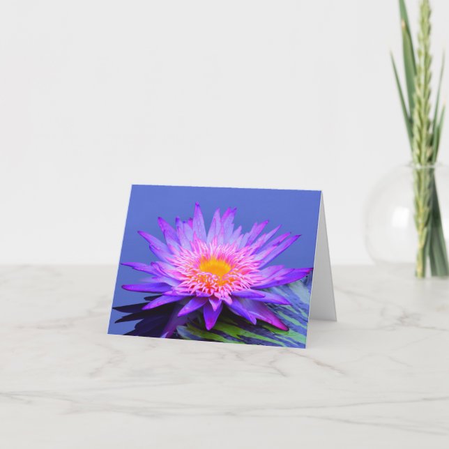 Violet Blue Water Lily Blank Note Greeting Cards (Front)