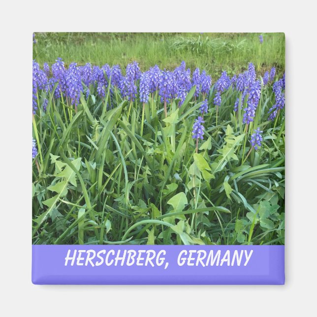Violet Bluebell Magnet (Front)
