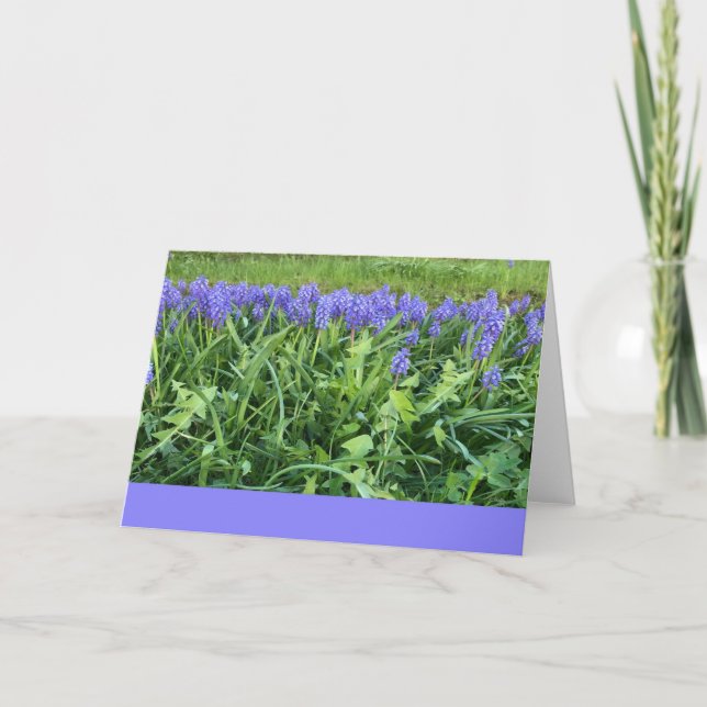 Violet Bluebells Photography - Herschberg, Germany Card (Front)