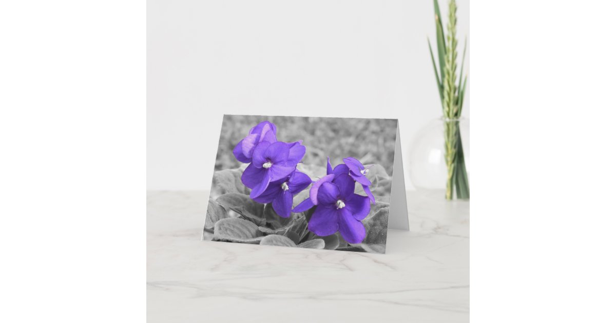 Violet Card Zazzle