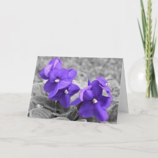 Violet, card